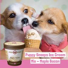 Puppy Scoops Ice cream