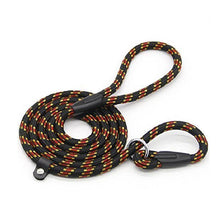 Cargar imagen en el visor de la galería, 5 FT Nylon Dog Leash