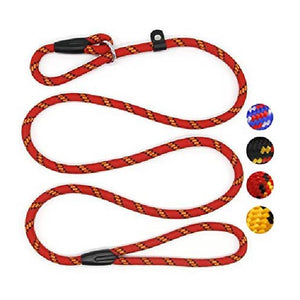 5 FT Nylon Dog Leash