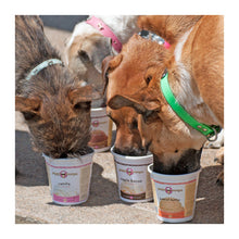 Cargar imagen en el visor de la galería, Puppy Scoops Ice cream